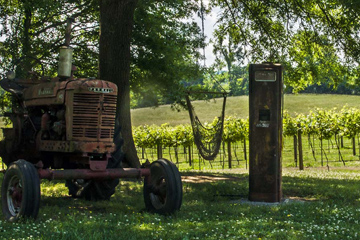 Northfield-Vineyards