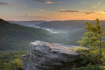 Scotts-Gulf-Wilderness-State-Park